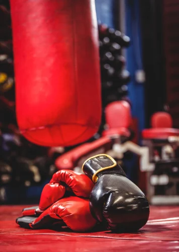 Boxing gloves and punching bag in boxing ring